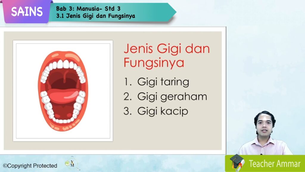 S3_SAINS_03_01 Jenis Gigi dan Fungsinya - Jom Tuisyen