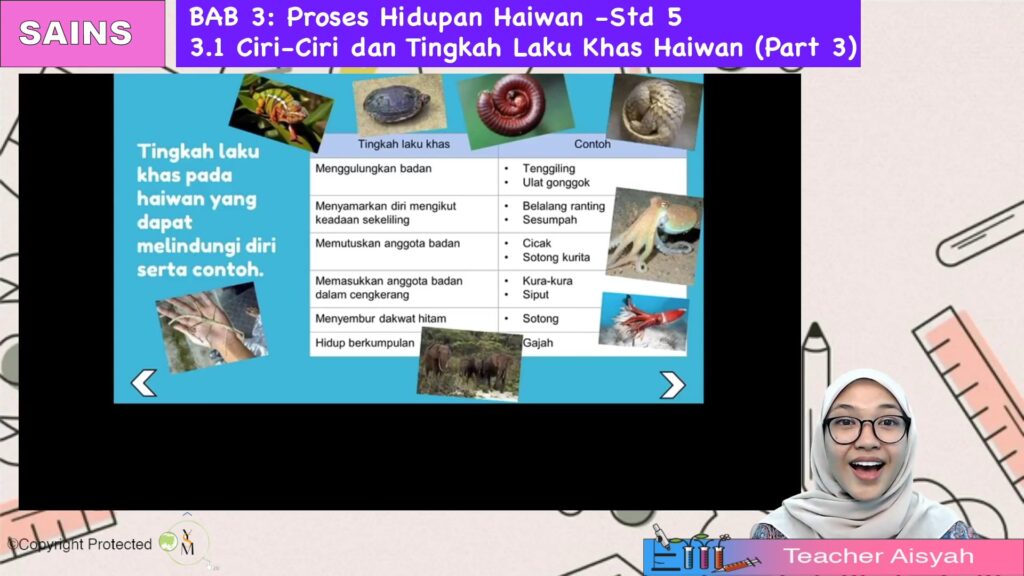 TOPIK 03: Ciri-ciri dan Tingkah Laku Khas Haiwan - Jom Tuisyen