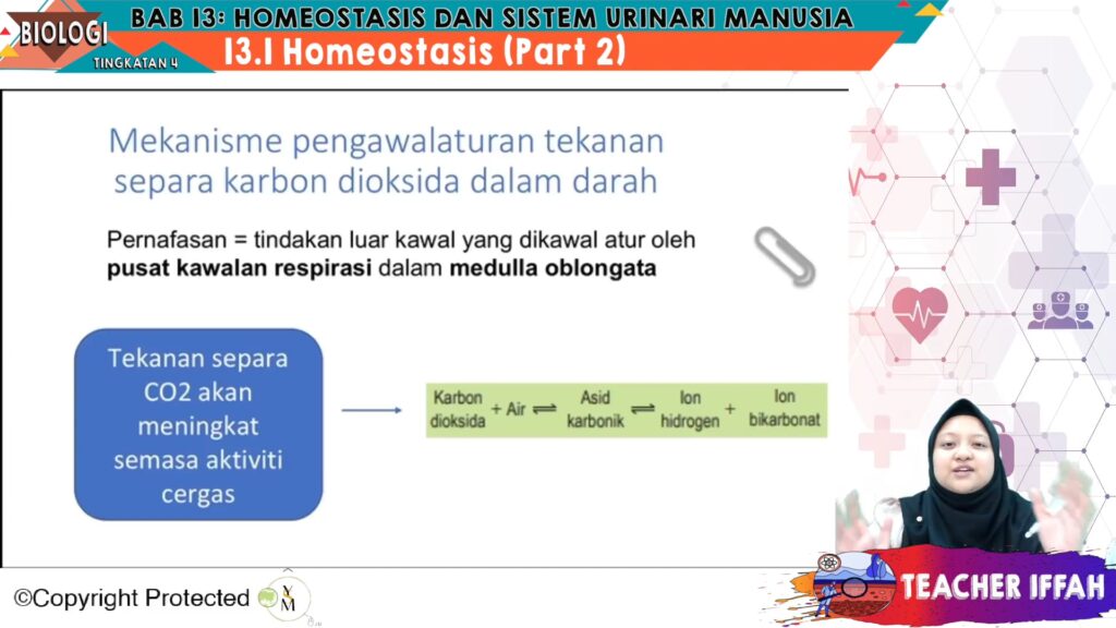 Sains Tingkatan 1 Bab 3 Pages 1 44 Flip Pdf Download Fliphtml5