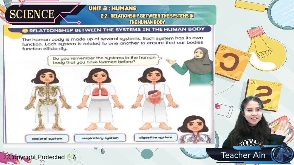 Topic 02: Humans – Jom Tuisyen